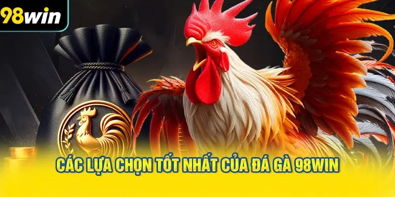 Các lựa chọn tốt nhất của Đá gà 98WIN