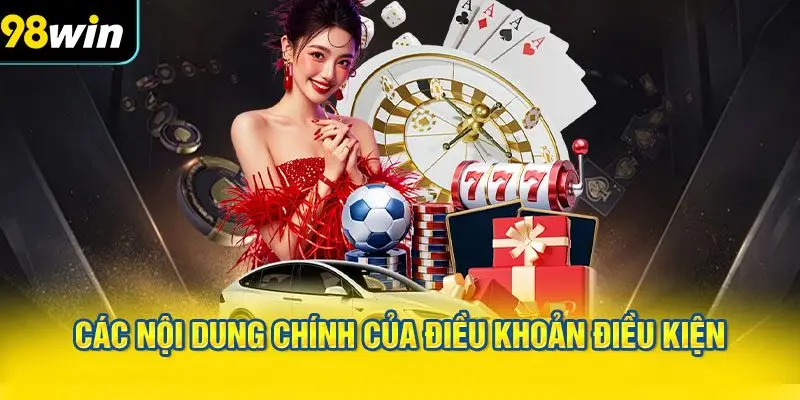 Các Nội Dung Chính của Điều Khoản Điều Kiện