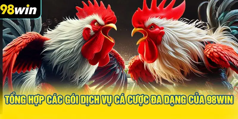 Tổng hợp các gói dịch vụ cá cược đa dạng của 98WIN